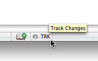 The Track Changes indicator.